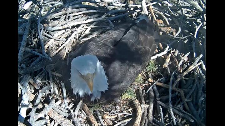 KSBW TV Action News 8