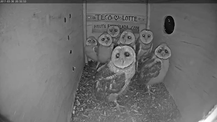 KION News Channel 5 46